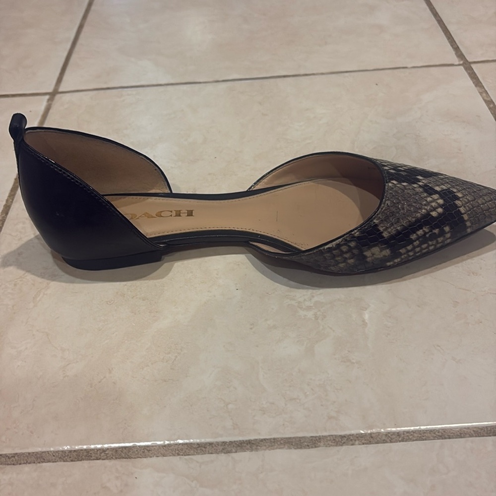 Coach Snakeskin Women's Shoes - Picture 5 of 10